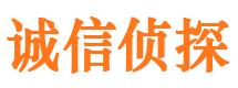 龙安婚外情调查取证